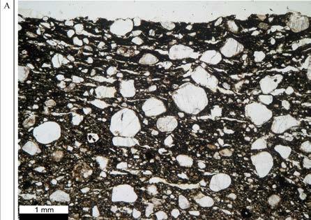 27. Microscope picture of sample 12 (23/10) observed at one