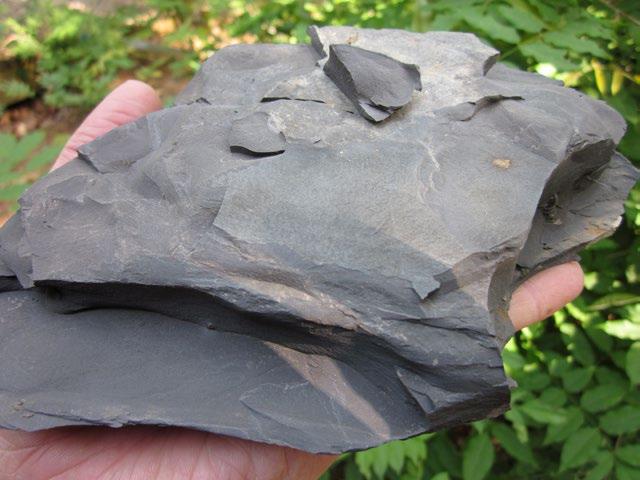 Późno dewońskie impakty a kryzys fran-famen Tomasz Brachaniec, Robert Beauford Artykuł ukazał się najpierw w METEORITE, Vol. 18, No. 3.