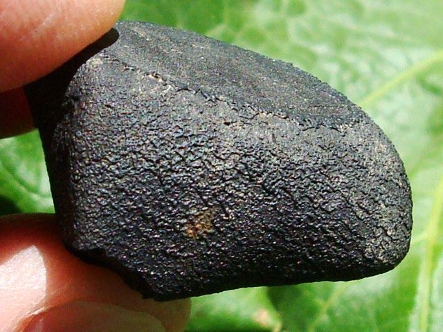 Marc Fries skontaktował nas z Keith em i Daną Jenkersonami (KD meteorites), którzy udostępnili zdjęcia okazu SM64 z efektownymi naciekami na skorupie.