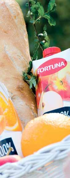 GRUPA POLMLEK 1 października 2015 r. portfolio Grupy Polmlek poszerzyło się dodatkowo o soki, nektary i napoje znanych polskich marek Fortuna, Garden, Pysio i Sonda.