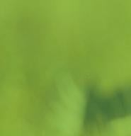 specjalnej ochrony ptaków Natura 2000 Puszcza Knyszyńska etap II współfinansowanego przez Unię Europejską ze środków Europejskiego Funduszu Rozwoju Regionalnego w ramach Programu Infrastruktura i