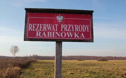 nieużytków w rezerwacie przyrody Rabinówka i jego otulinie, usuwanie lub rozrzedzanie zakrzaczeń i
