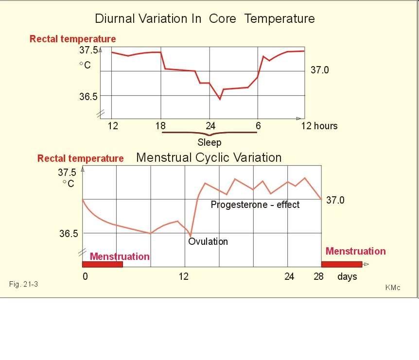 Zależność temperatury ciała od