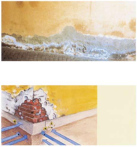 Problem Uszkodzenia charakterystyczne dla wilgotnego i zasolonego muru: wilgotne plamy wykwity solne odpadający tynk i warstwy powłoki malarskiej Wilgoć i sole prowadzą do licznych uszkodzeń muru
