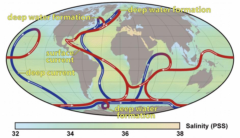 Czerwonymi liniami oznaczono powierzchniowe prądy morskie (surface current), kształtowane przez wiatry.