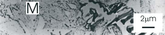 cementytem wtórnym (rys. 38). Rys. 37.
