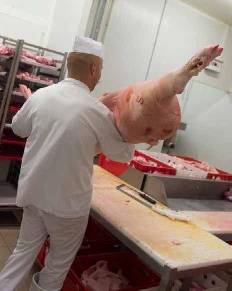 Produkcja mięsa wieprzowego Produkcja mięsa wieprzowego z uboju powoli wzrasta. W 2013 r. produkcja wynosiła 113,0 mln t, w 2000 r. 90,0 mln t, w 2010 r. 109,3 mln t.