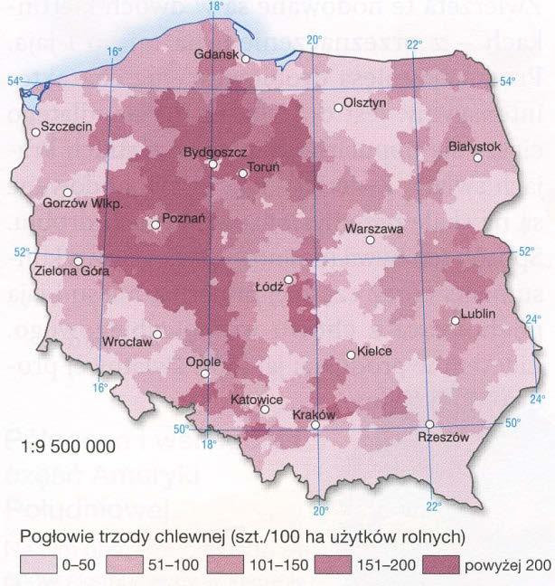 Trzoda chlewna w Polsce Pogłowie trzody chlewnej wynosiło w 2014 r. 11,7 mln sztuk. Największa obsada trzody chlewnej jest woj. wielkopolskim i kujawsko pomorskim.