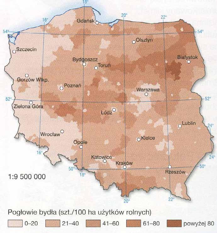 Najwięcej gospodarstw specjalizujących się w hodowli bydła znajduje się na Podlasiu, Mazowszu i w Wielkopolsce. Najmniej w województwach: zachodniopomorskim, dolnośląskim i lubuskim.
