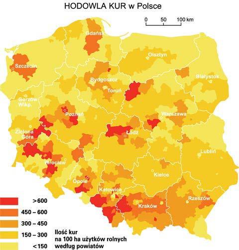 Hodowla drobiu jest w Polsce jest bardzo popularna.