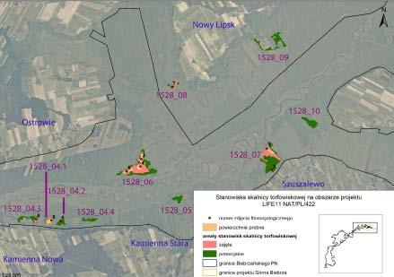 Mapa nr 2. Stanowiska skalnicy torfowiskowej na obszarze Górnej Biebrzy monitorowane w 2017 r.