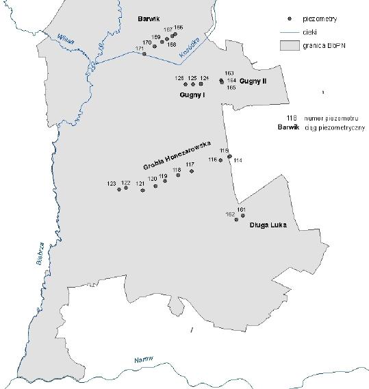Ryc. 3. Lokalizacja piezometrów w Basenie Dolnym doliny Biebrzy.