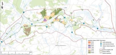 Orlik krzykliwy (Aquila pomarina) monitoring realizowany na obszarze projektu ze wsparciem Komitetu Ochrony Orłów kontrola gniazda w kompleksie leśnym Trzyrzeczki oraz ornitologa z zewnątrz