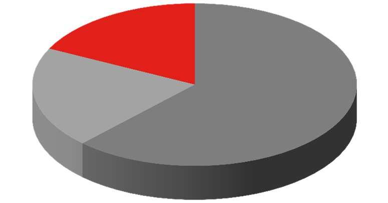 Fundusze inwestycyjne FUNDUSZE INWESTYCYJNE - WOLUMENY (mln zł) STRUKTURA AKTYWÓW PPIM SA +5.5% +2.