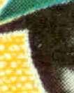 F i 1 7 0 5 1 7 0 6 1 7 0 5 L p o p is p o l e se k to r 1 2 3 4 5 6 1 0 1 zn ie k s zta łc o n a lite ra P