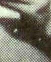c za rn a u k oś n a k re s k a n a lite rze H w R U C H U 4 + 1 7 0 5 1 7 0 6 1 1 1 b ia ła p la m k a p o