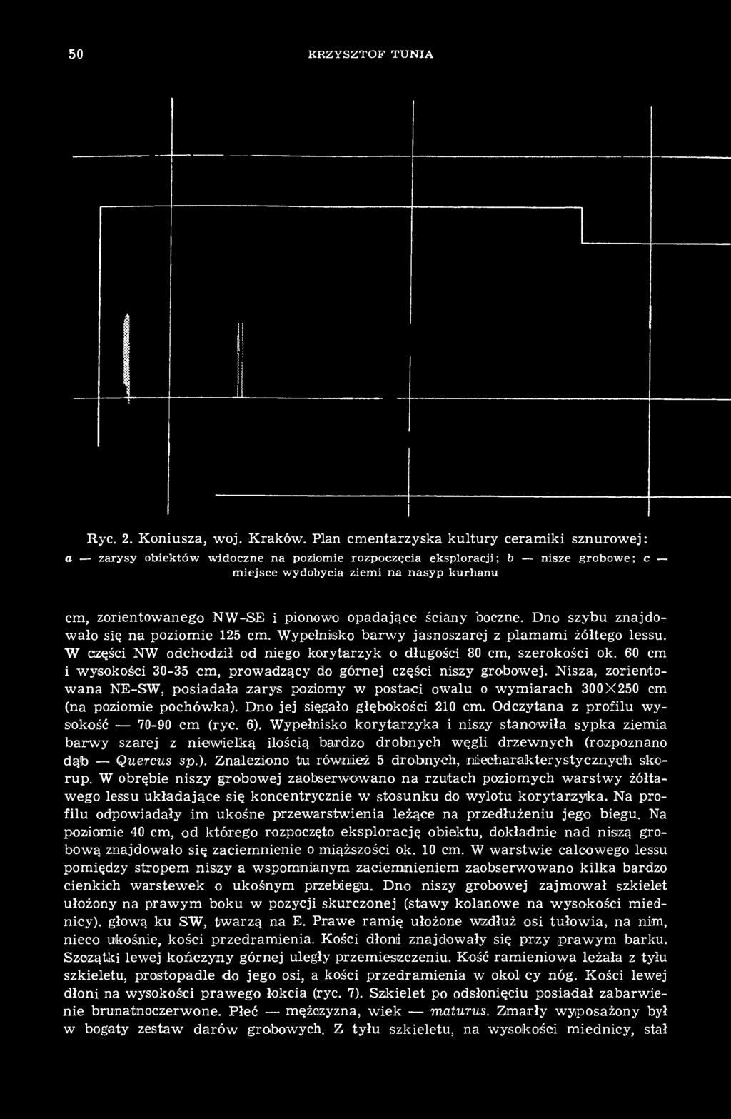 pionowo opadające ściany boczne. Dno szybu znajdowało się na poziomie 125 cm. Wypełnisko barwy jasnoszarej z plamami żółtego lessu.