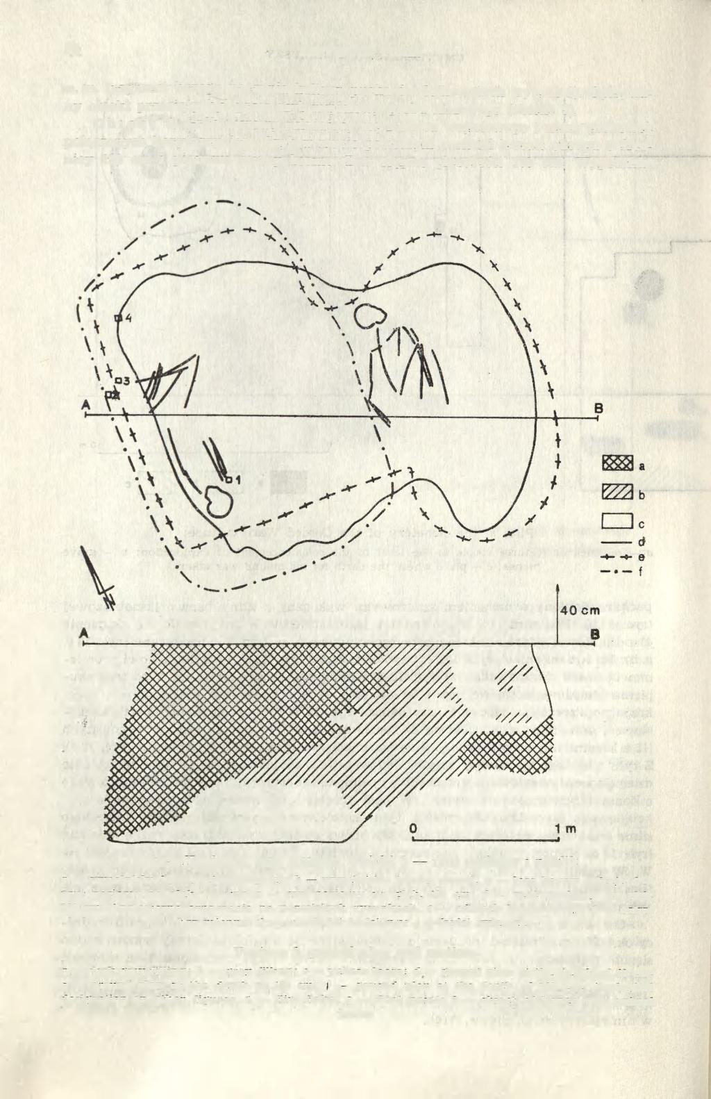 52 KRZYSZTOF TUNIA m. in. fragment brzegu naczynia kultury pucharów lejkowatych (ryc. 18 d). Opisywany obiekt przecięty był przez szyb wejściowy grobu niszowego (obiekt 3). Obiekt 4.