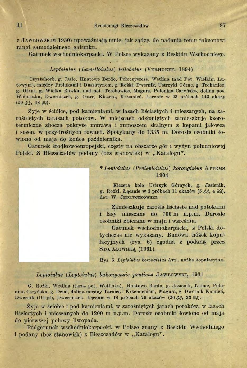 11 Krocionogi Bieszczadów 87 z J a w ł o w sk im 1930) u p o w a żn ia ją m n ie, ja k są d zę, do n a d a n ia te m u tak,sonow i ra n g i sa m o d z ieln e g o g a tu n k u.