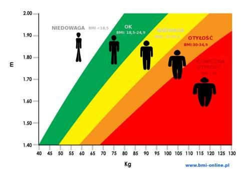 Nadwaga i otyłość Norma : BMI 18,5 24,9 Badania wskazują, że 52% Polaków ma zbyt dużą masą ciała Nadwaga : BMI 25,0 29,9 Otyłość : BMI 30,0-35,0 Otyłość nadwaga