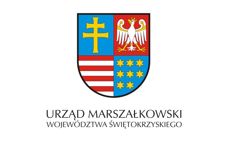 Jedność w różnorodności - organizacje pozarządowe wobec nowych wyzwań 19