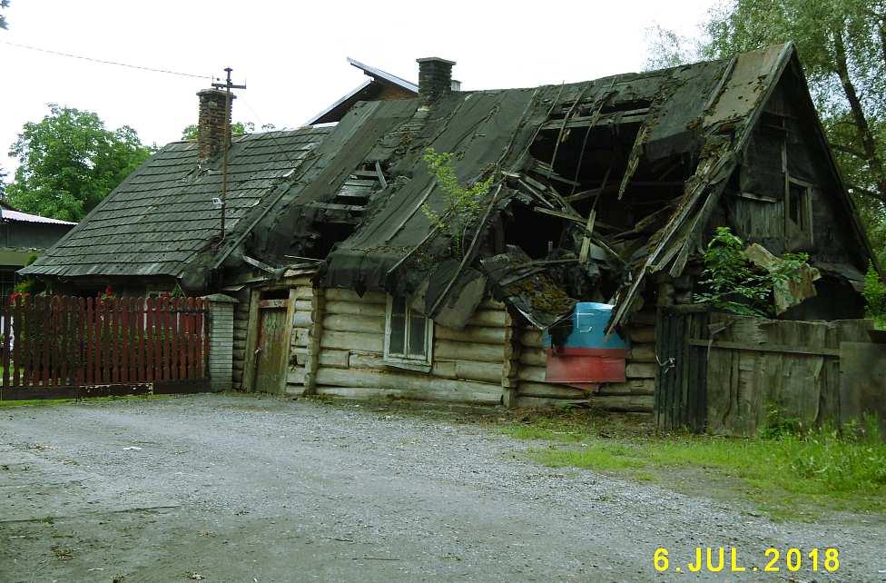 jej archaiczny fragment. Jest to dla mnie odkrycie roku 2018. Fot. nr 219.