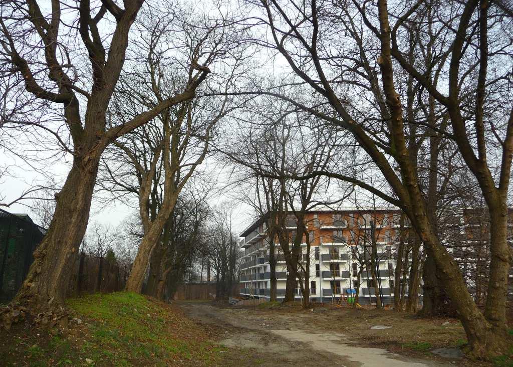 Ulica Żniwna przy pętli tramwajowej w Prokocimiu,