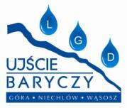 Procedura wyboru operacji realizowanych przez podmioty inne niż LGD, tj.