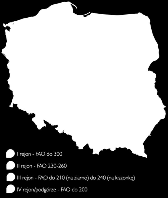 13 Razem 63 (31,3%) 20 średnio 240 61 13 wczesne 250 35 3 Razem 96