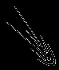 METEORYT kwartalnik dla miłośników meteorytów ISSN 1642-588X Wydawca: Olsztyńskie Planetarium i Obserwatorium Astronomiczne Al. Piłsudskiego 38 10-450 Olsztyn tel. (89) 533 49 51 opioa@planetarium.