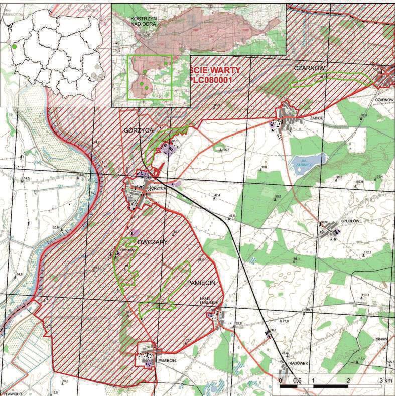 zboczowych znajdują się w południowej części obszaru, w pobliżu miejscowości Górzyca, Owczary, Pamięcin i Laski Lubuskie.