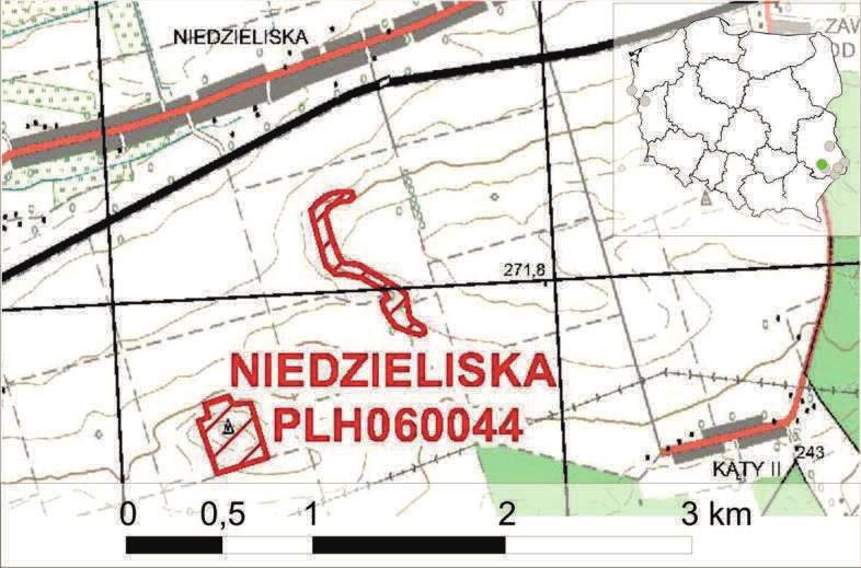 3.4. Niedzieliska Lokalizacja Ostoja Niedzieliska, o powierzchni 7,39 ha, obejmuje płaty muraw i zarośli kserotermicznych na 2 wapiennych wzniesieniach, położonych ok.