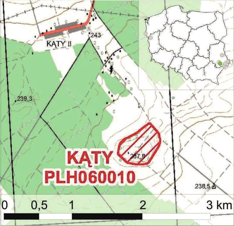 3.5. Kąty Lokalizacja Ostoja Kąty, o powierzchni ok 20 ha, obejmuje wzniesienie Wieprzecka Góra, położone koło wsi Kąty II, w gminie Zamość. Od lat 50.