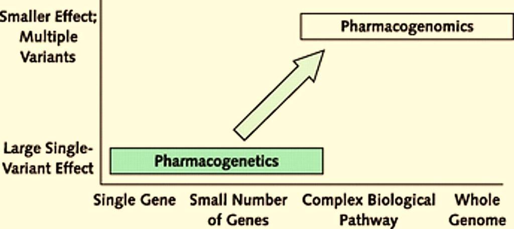 Farmakogenetyka a farmakogenomika W odróżnieniu od genetyki, genomika obejmuje zjawiska genetyczne całościowo i przy pomocy