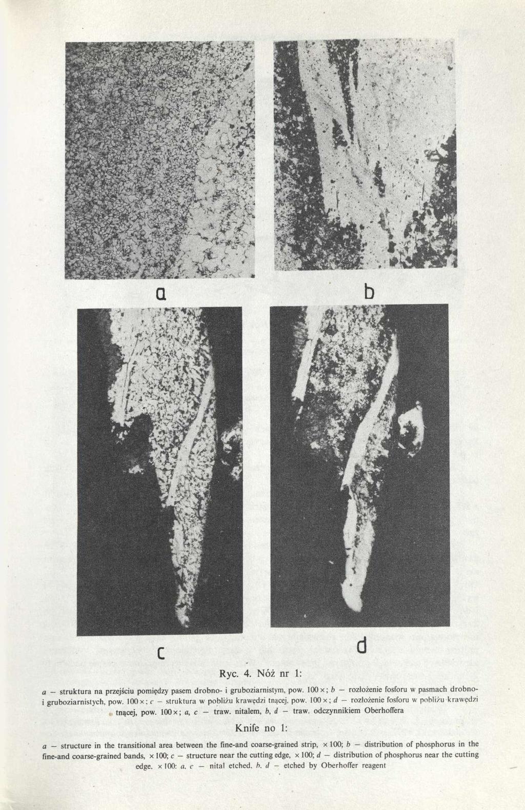 Ryc. 4. Nóż nr 1: a - struktura na przejściu pomiędzy pasem drobno- i gruboziarnistym, pow. loox; b - rozłożenie fosforu w pasmach drobnoi gruboziarnistych, pow.