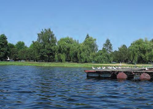 Jezioro Krasne Fot. P. Bielak-Bielecki Jezioro Łukcze Fot. P. Bielak-Bielecki wiadająca III klasie. Indeks okrzemkowy OI oraz wskaźnik makrofitowy ESMI odpowiadały klasie I.