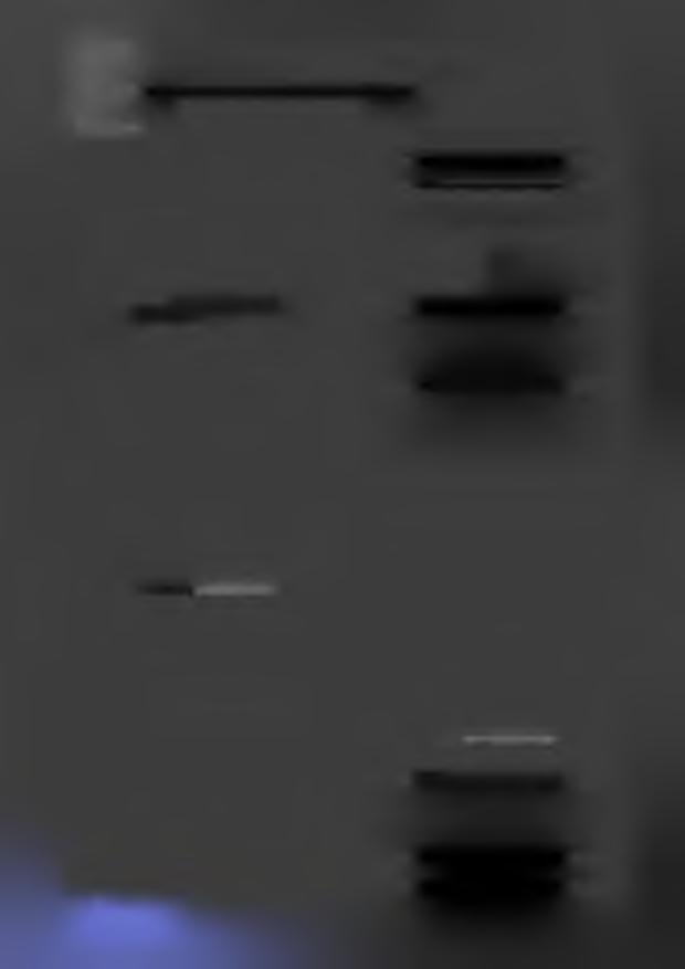 1. N r zbioru: 16 G ospodarka nieruchom ościam i 2. wpisania zbioru do rejestru: 23.12.25 r. 3. ostatniej aktualizacji: r. art. ustawy, i adres jego siedziby lub 7.