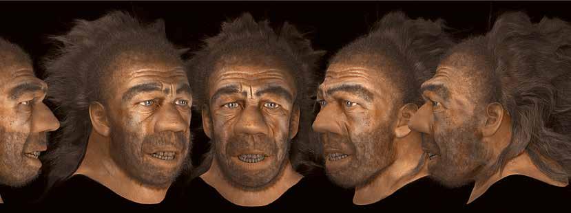 OKNA PREHISTORII Czas zwiedzania: 45 minut WEHIKUŁ CZASU Okna Prehistorii to główna wystawa na terenie Parku Nauki i Ewolucji Człowieka w Krasiejowie.