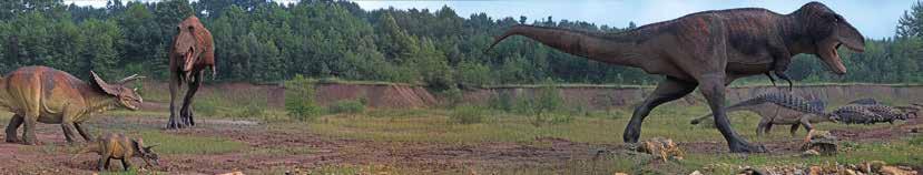 JuraPark działa w trzech płaszczyznach: edukacyjnej, naukowej i rozrywkowej.