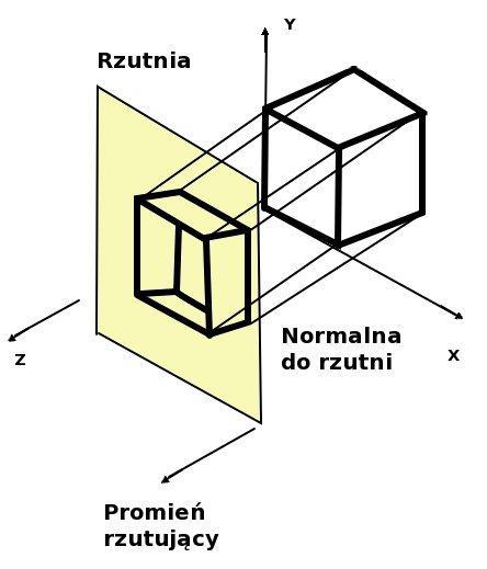 Rzuty równoległe