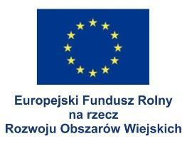 WNIOSEK O PRZYZNANIE POMOCY W ramach poddziałania Wsparcie na wdrażanie operacji w ramach strategii rozwoju lokalnego kierowanego przez społeczność