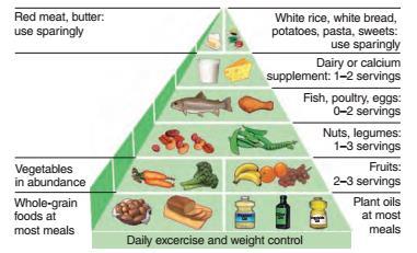 Piramida pokarmowa Czerwone mięso, masło rzadko Obfitość warzyw Biały ryż, białe pieczywo, ziemniaki, makaron, słodycze rzadko Nabiał lub wapń 1-2 razy