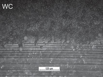 Obserwacj makroskopow ladów tarcia potwierdzaj zdj cia uzyskane z mikroskopu optycznego (Rys. 2).