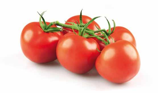 Rijk Zwaan Katalog 2012 pomidor ogórek 11 Kolejnym walorem odmiany Endeavour RZ jest bardzo dobra jakość owoców czyli atrakcyjne, głębokie, czerwone wybarwienie, wyśmienita twardość jak i trwałość