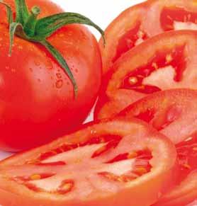 16 Pomidor - odmiany Arvento RZ F1 ToMV:0,2/TSWV/Ff:1-5/Fol:0,1/ For/Sbl/Va/Vd/Si On/ pomidor na pojedyncze owoce, o masie 90 100 gramów roślina o zbalansowanym wzroście odmiana bardzo wczesna