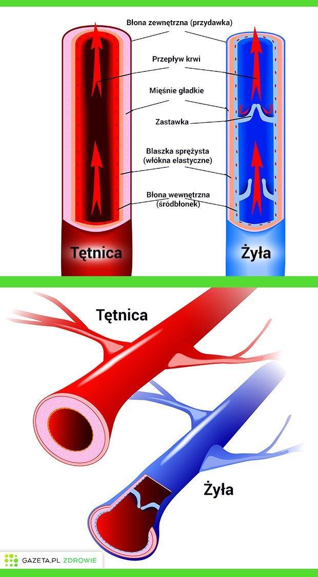 się strumienia krwi, szczególnie w tych