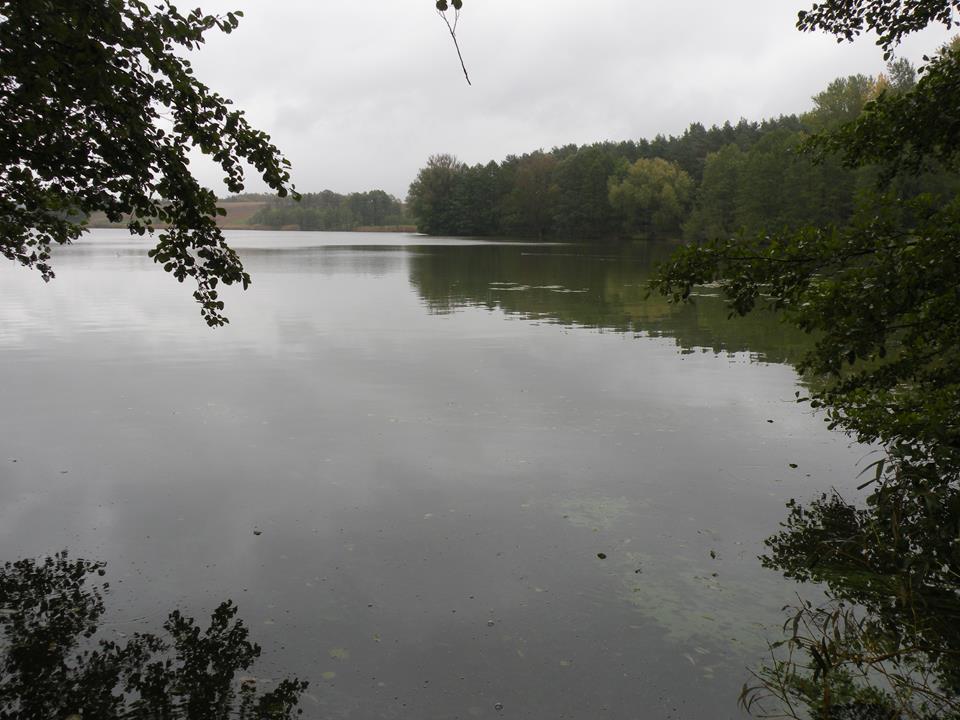 Fot.7 Jezioro Samińskie Fot.