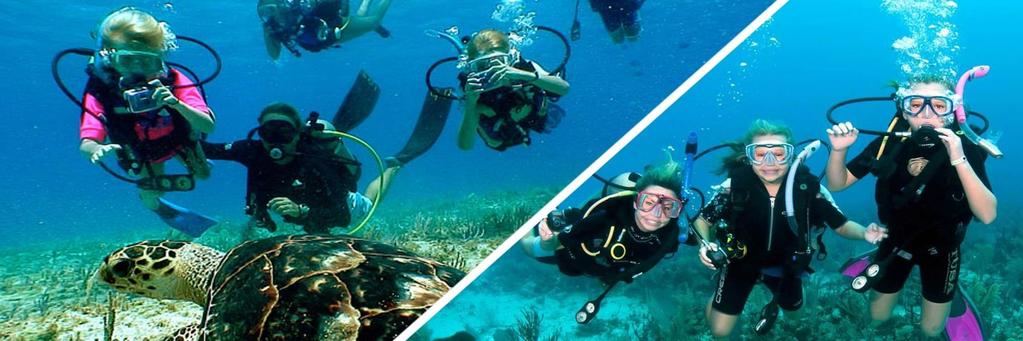 PODWODNA PRZYGODA DLA DZIECI Opis kursów» W ciepłych i bezpiecznych wodach Egiptu zapraszamy dzieci do odkrycia podwodnego świata.