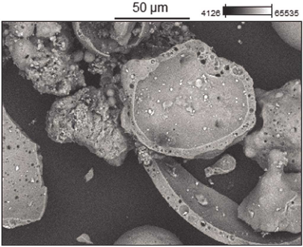Mikrosfera o idealnie sferycznym kształcie (Opole). Światło odbite, 1N, pow. 100x Fig. 5. Cenosphere perfectly spherical in shape (Opole). Reflected light, 1N, magn. 100x Rys. 6.