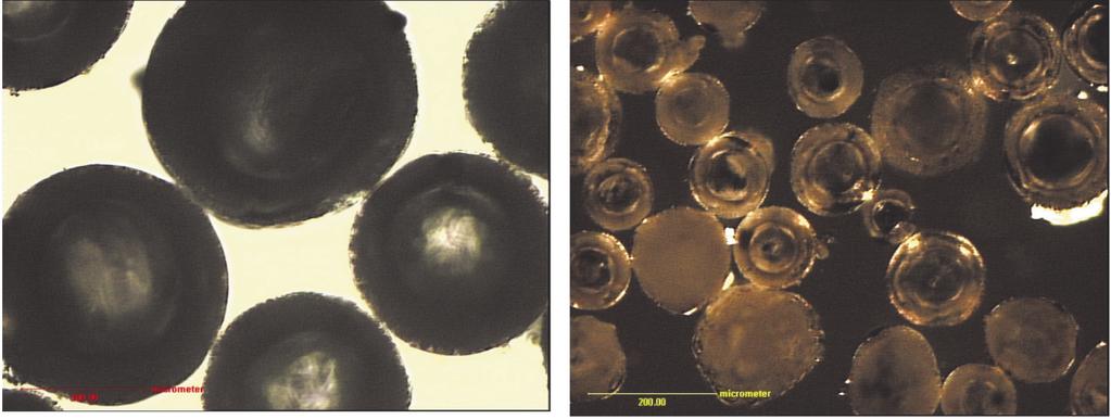 SEM image of the cenospheres (Dolna Odra) Próbka 3 - Mikrosfery z Elektrowni w Chinach Próbka wykazuje zróżnicowanie pod względem wielkości mikrosfer, podobnie jak materiał z Elektrowni Opole.